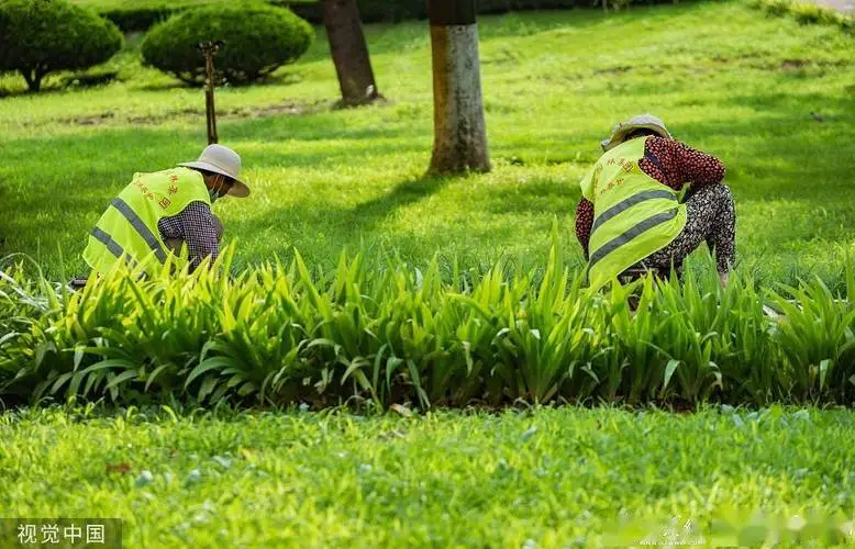 植树造林绿化工程造价