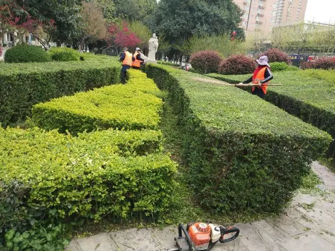 办公楼前坪园林景观设计